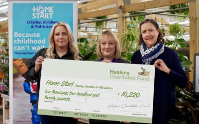 Haskins Charitable Fund