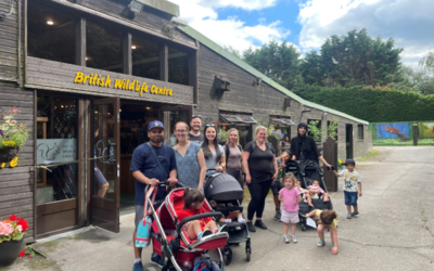 British Wildlife Visit