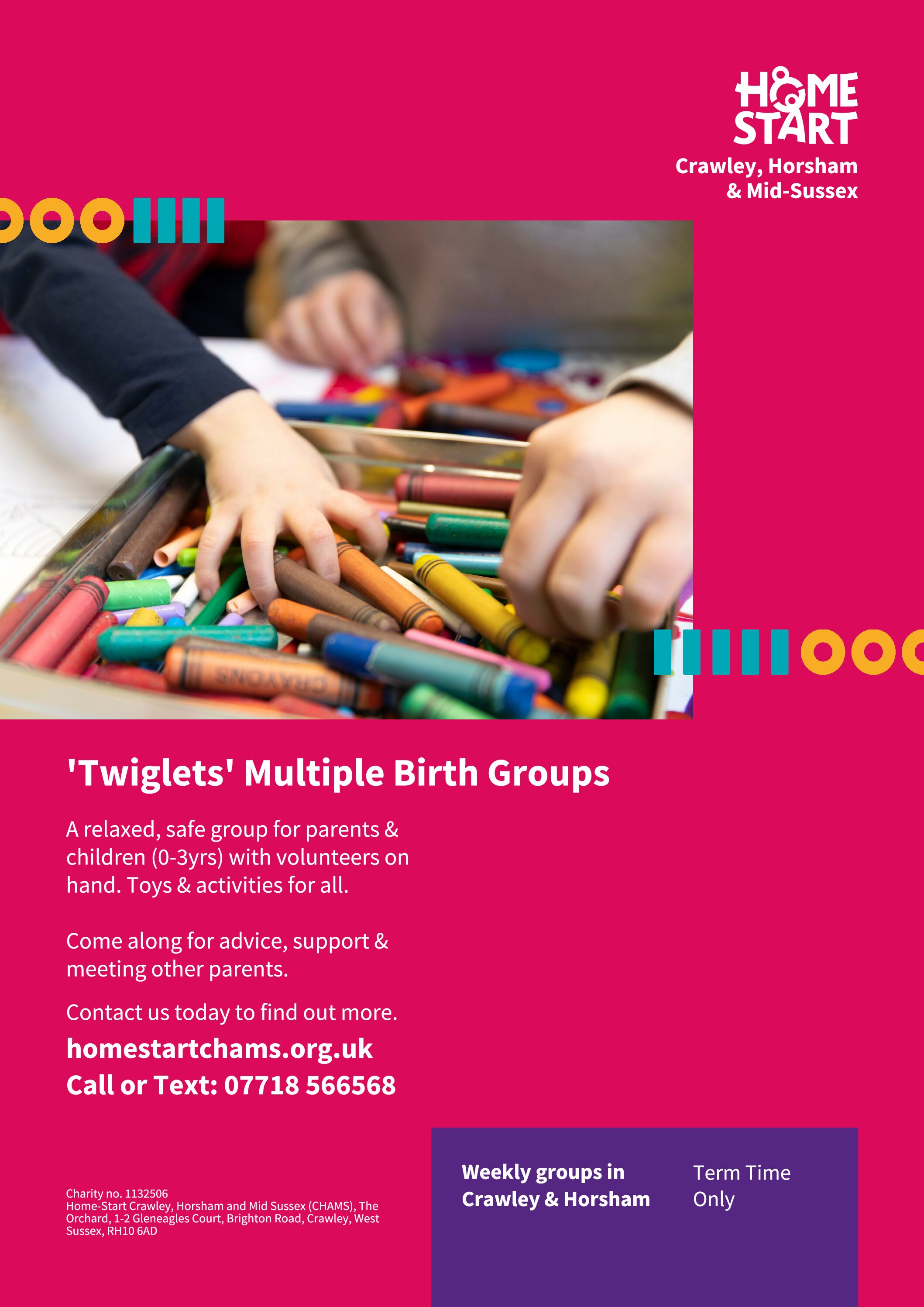twiglets-genericboth - printed flyers Twiglets Multiple Birth Groups